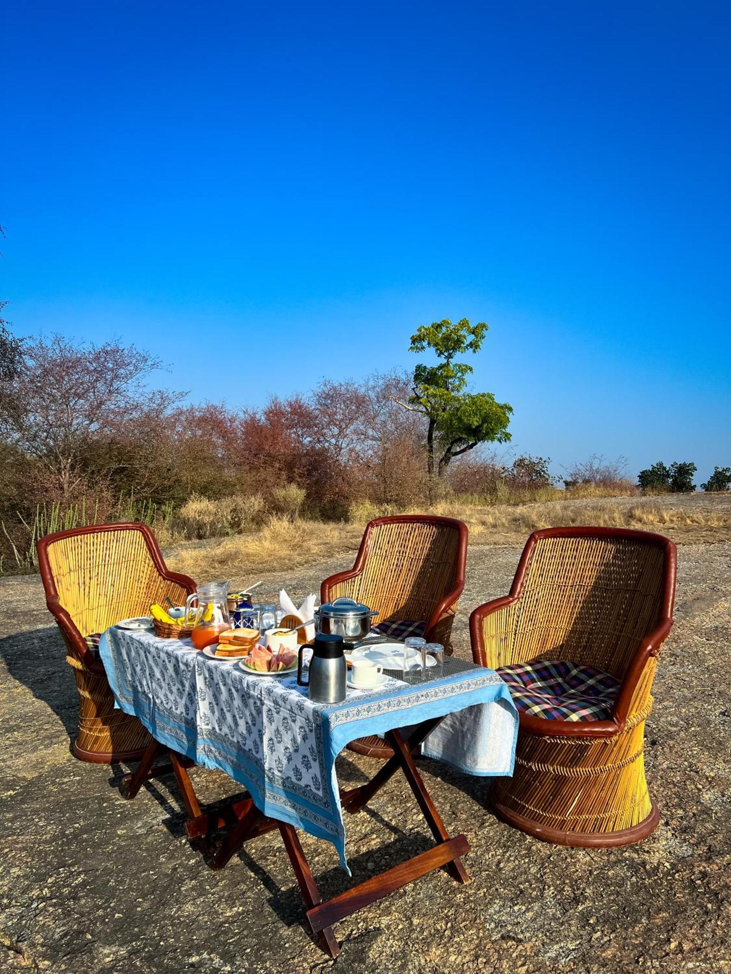 Luxury tent Dera Jawai - Safari In Jawai Bandh *