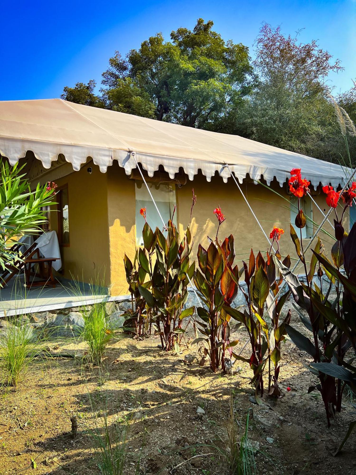 Dera Jawai - Safari In Jawai Bandh Luxury tent Bijapur (Rajasthan)