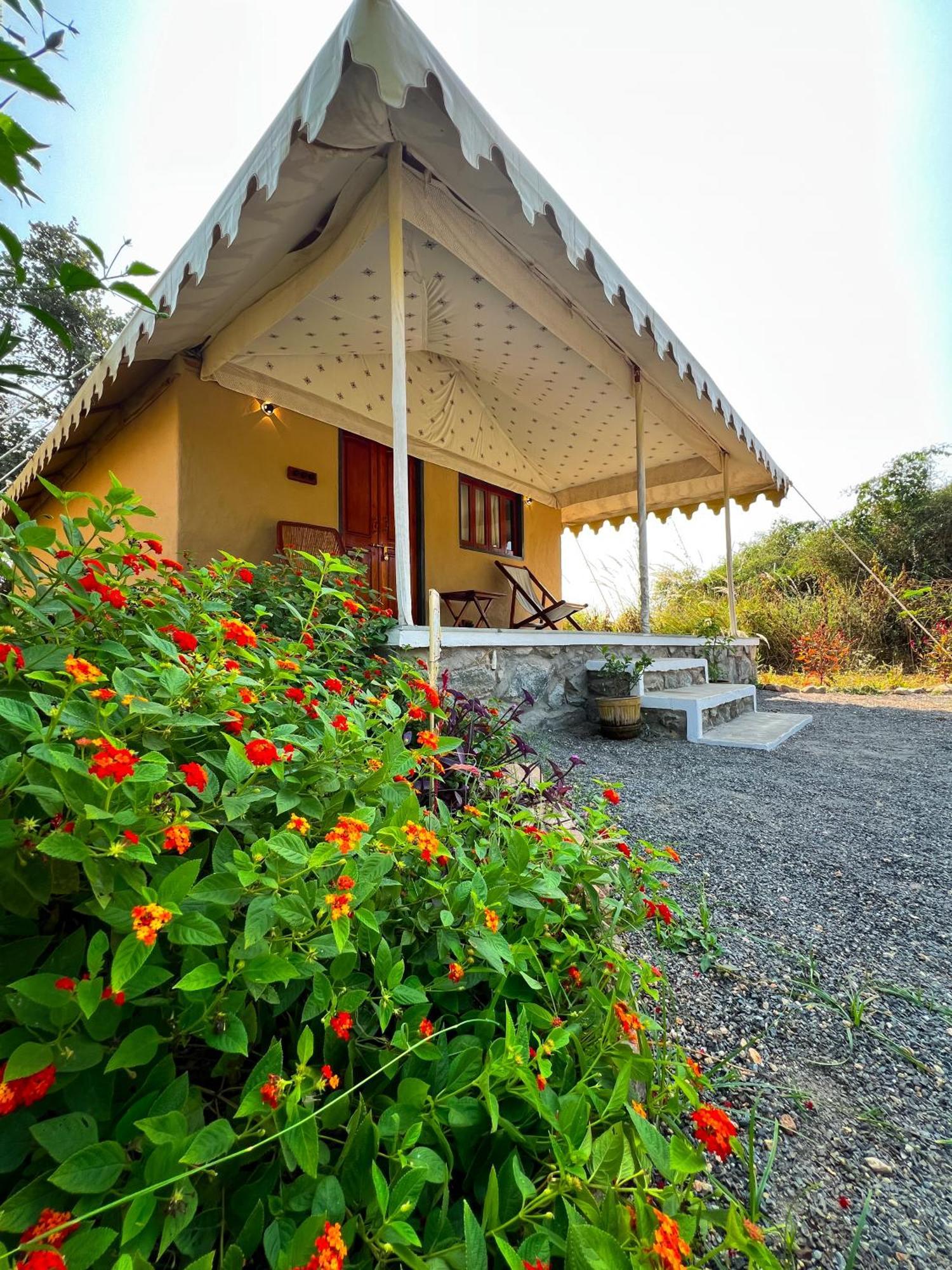 Luxury tent Dera Jawai - Safari In Jawai Bandh Bijapur (Rajasthan)