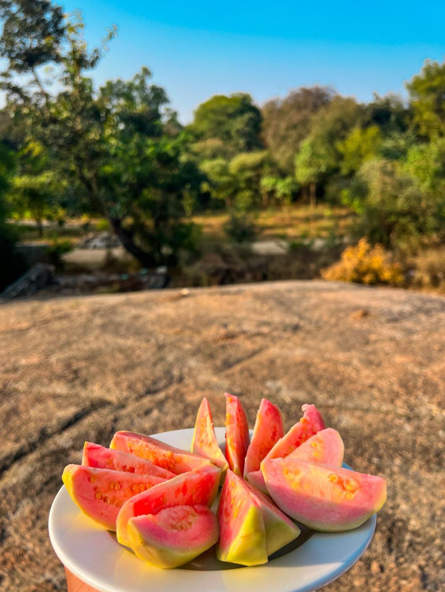 Dera Jawai - Safari In Jawai Bandh