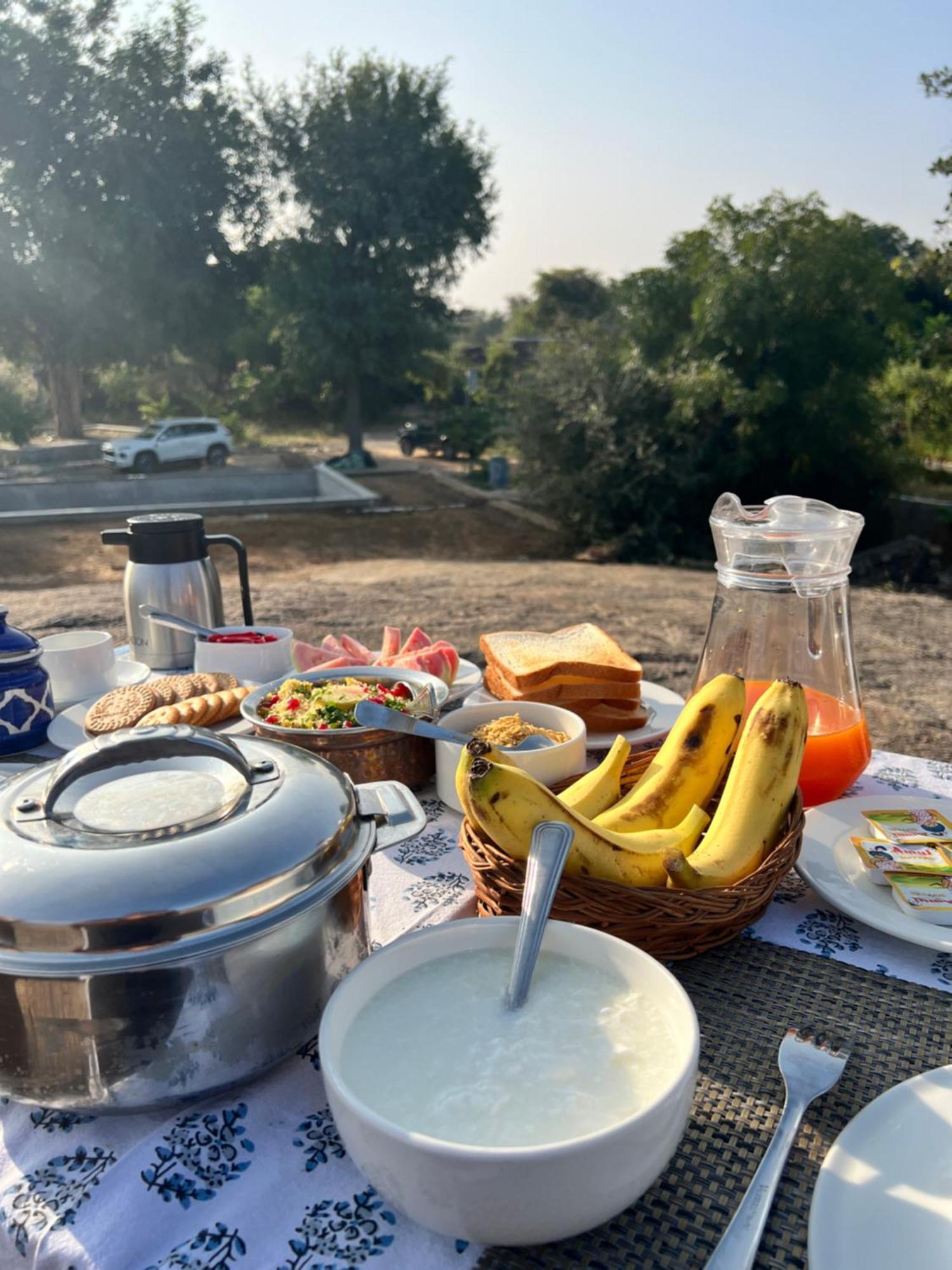 Luxury tent Dera Jawai - Safari In Jawai Bandh *