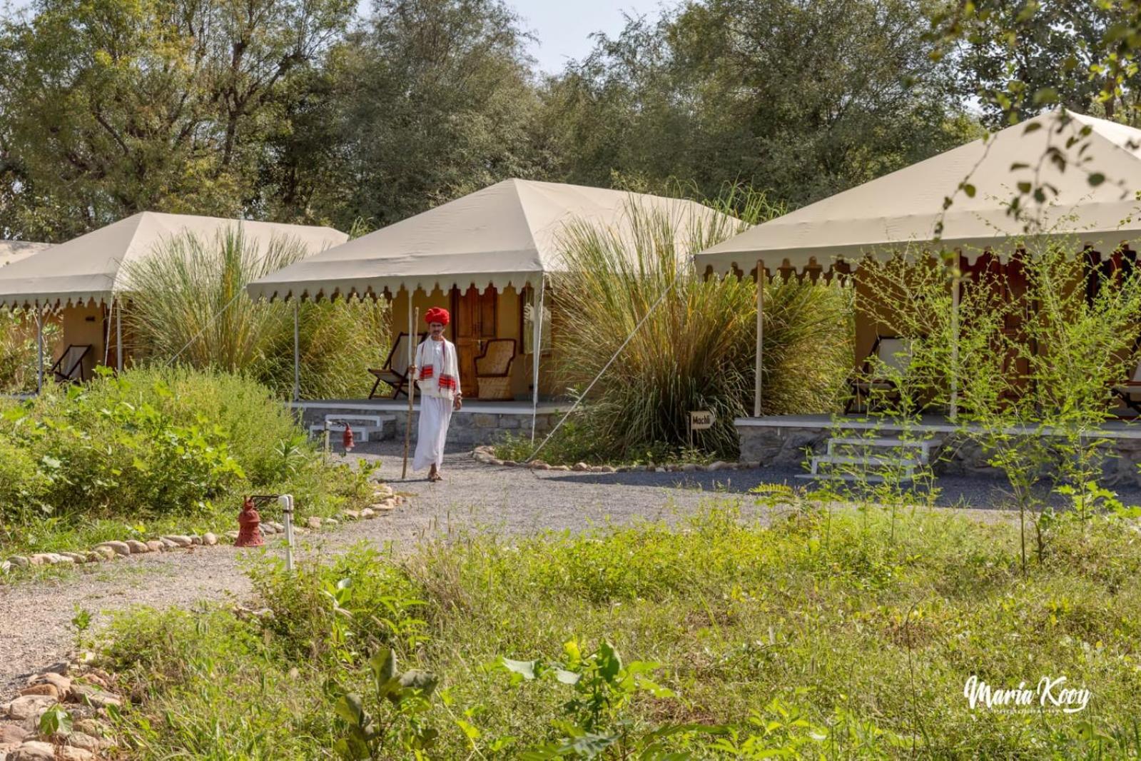 Dera Jawai - Safari In Jawai Bandh Bijapur (Rajasthan)