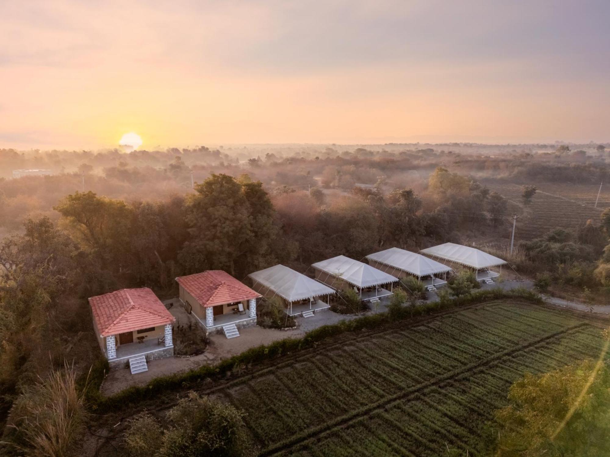Luxury tent Dera Jawai - Safari In Jawai Bandh *