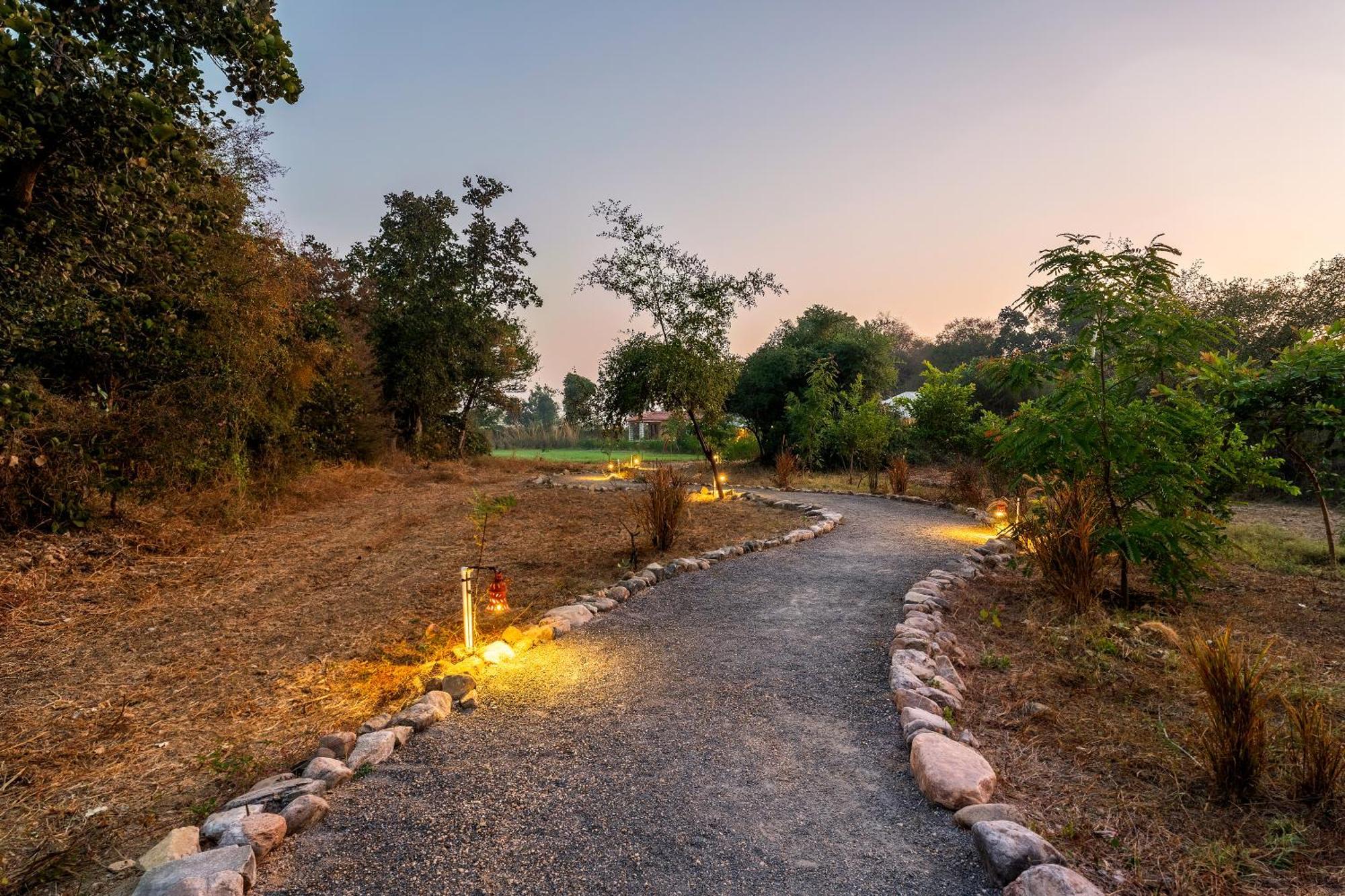 Luxury tent Dera Jawai - Safari In Jawai Bandh