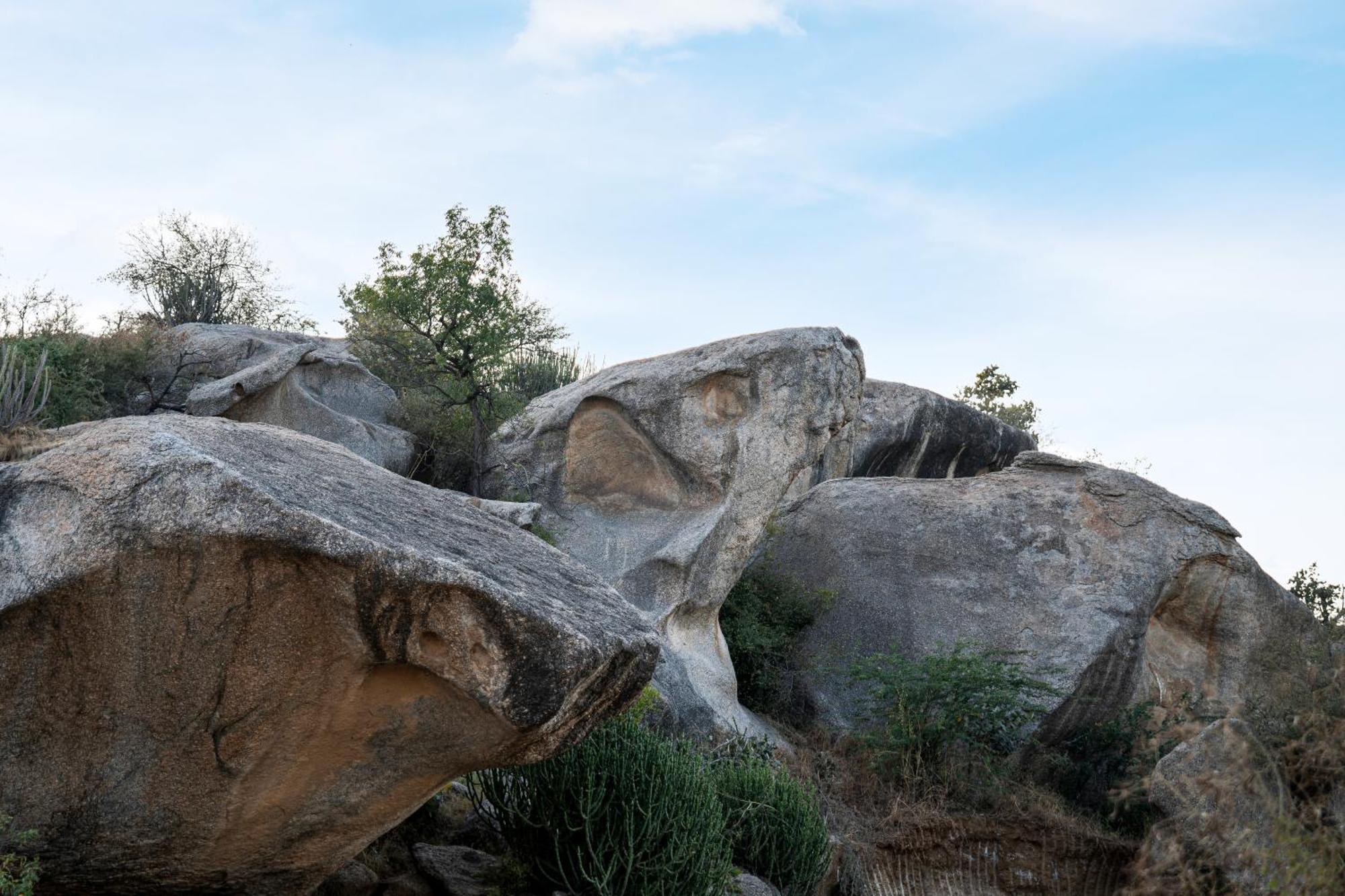Luxury tent Dera Jawai - Safari In Jawai Bandh *