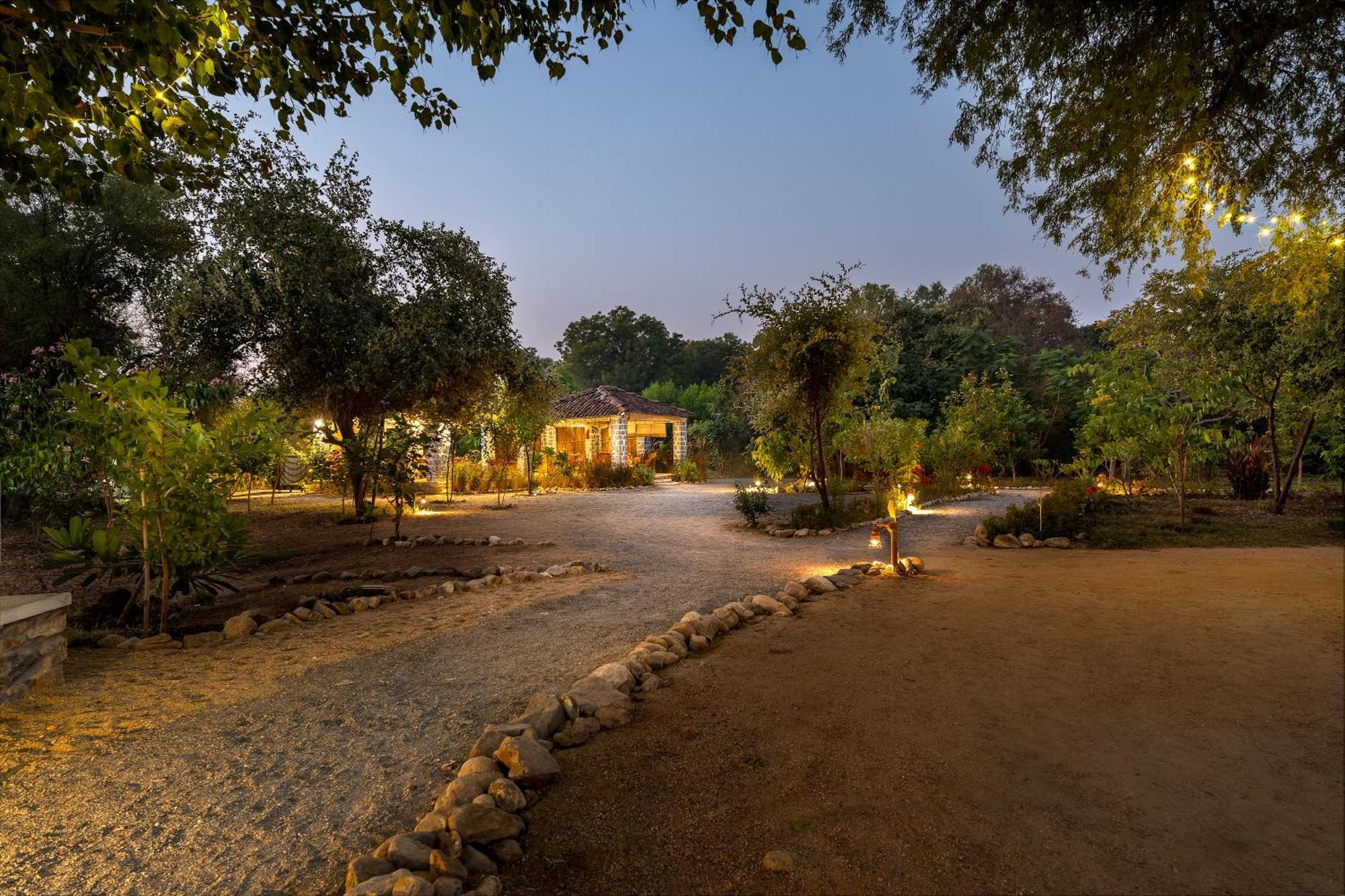 Luxury tent Dera Jawai - Safari In Jawai Bandh Bijapur (Rajasthan)
