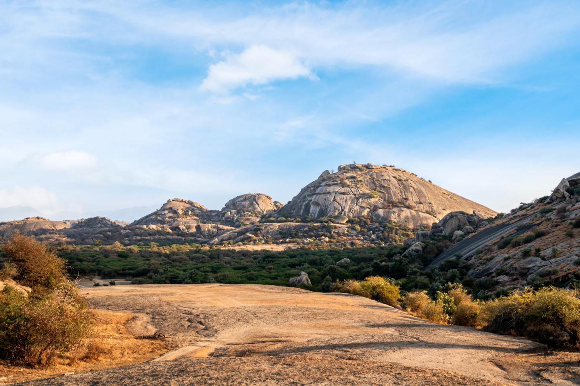 Dera Jawai - Safari In Jawai Bandh Bijapur (Rajasthan)